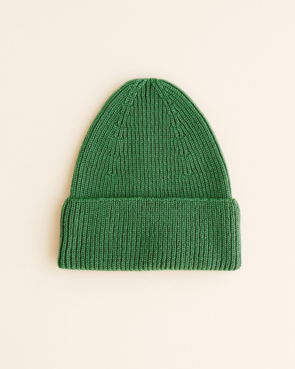 Beanie Fonzie Grass