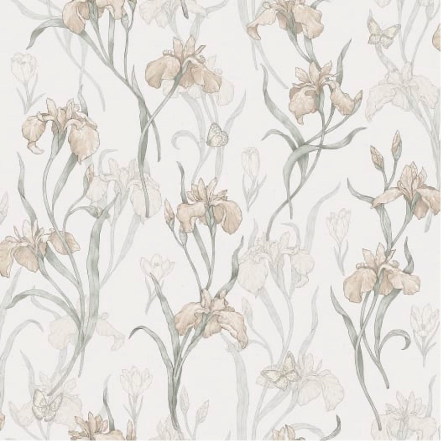 Iris Powder Pink