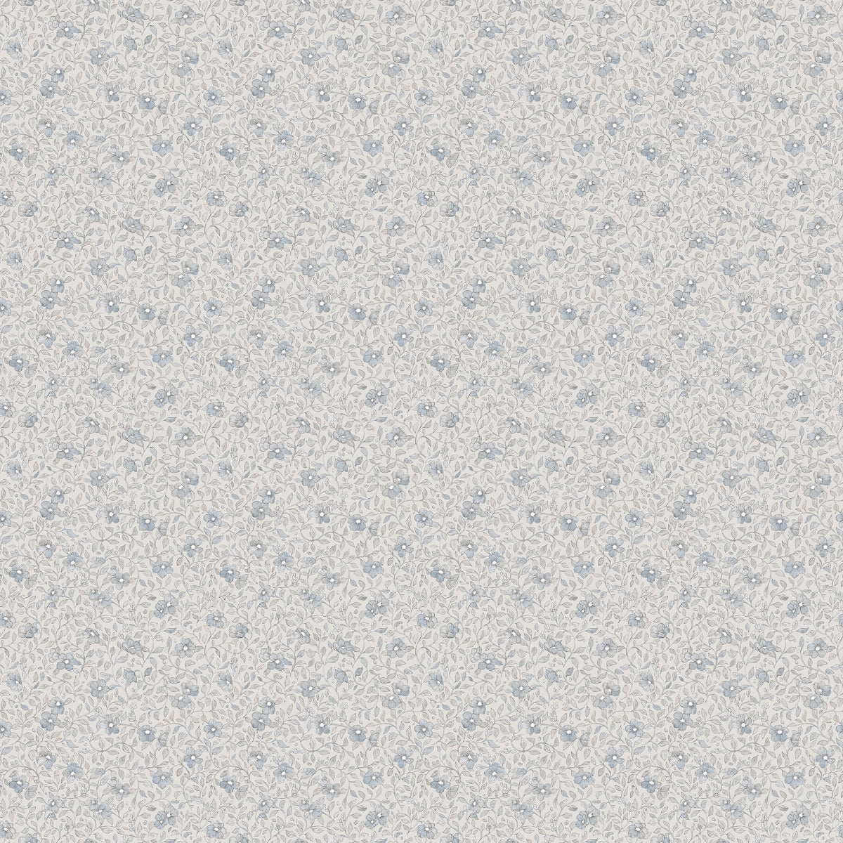 Stella Misty Blue